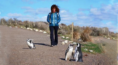Paseo turistico rodeado de pinguinos